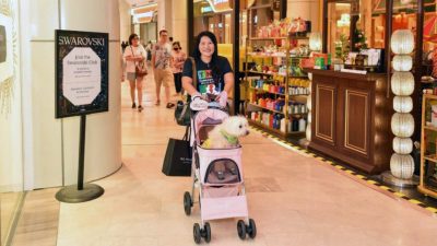 槟城最大型宠物嘉年华 6月8日带狗狗来逛葛尼百丽宫