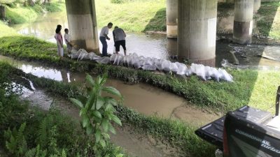 1万条鲶鱼苗释放到河流 网忧：恐酿成生态威胁！