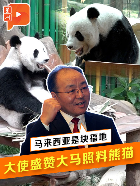 【聯訪】中國之外先後誕下3熊貓幼崽 歐陽玉靖：歡迎繼續合作