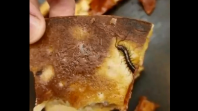 中国民众吃披萨  惊见半截蜈蚣“镶嵌”饼皮上