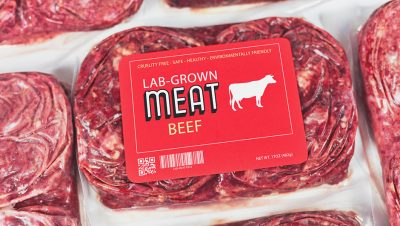 佛州州长签署法案 禁止制造和销售“人工肉”