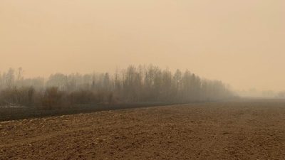 加拿大西部森林野火 当局疏散数千居民 空品堪忧