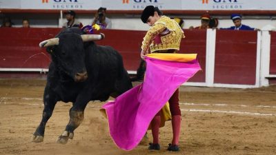 动物权益引关注 西班牙取消国家斗牛奖