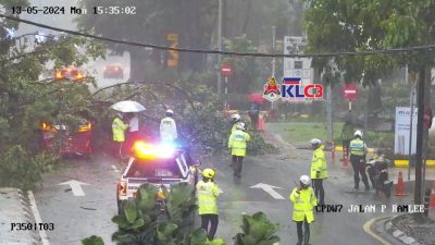 午后豪雨 隆市又发生树倒压车事故