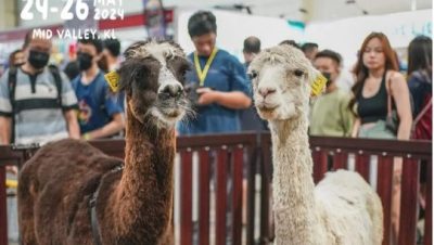 大马最大宠物博览会 24至26日谷中城举行