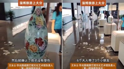 视频 | 女童推倒博物馆贵重花瓶碎满地！馆方两原因霸气喊免赔