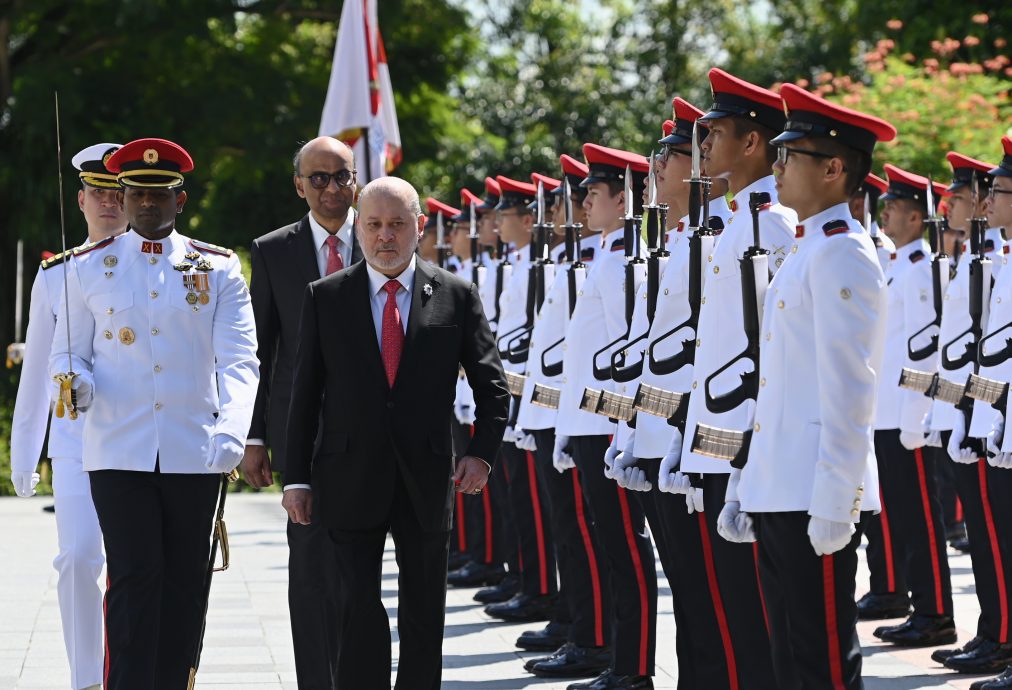 元首伉俪抵达新加坡，获狮城总统接待