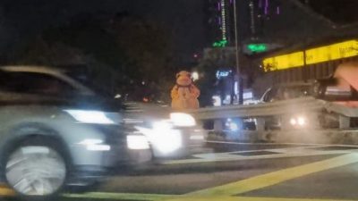 另类吉祥物夜游马路 吓坏驾驶人士