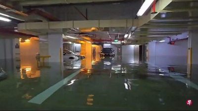 狮城1公寓地下停车场淹水 水位至腰多辆豪华车遭殃