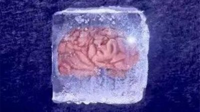 复旦团队创纪录  冷冻18个月人脑复活