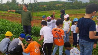 邀孩童体验“一日菜农”乐趣 爱心菜园 捐菜助弱势