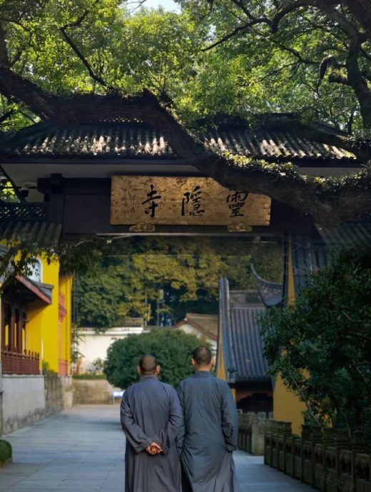 杭州灵隐寺600岁“佛门圣树”开花　民众争相前往许愿