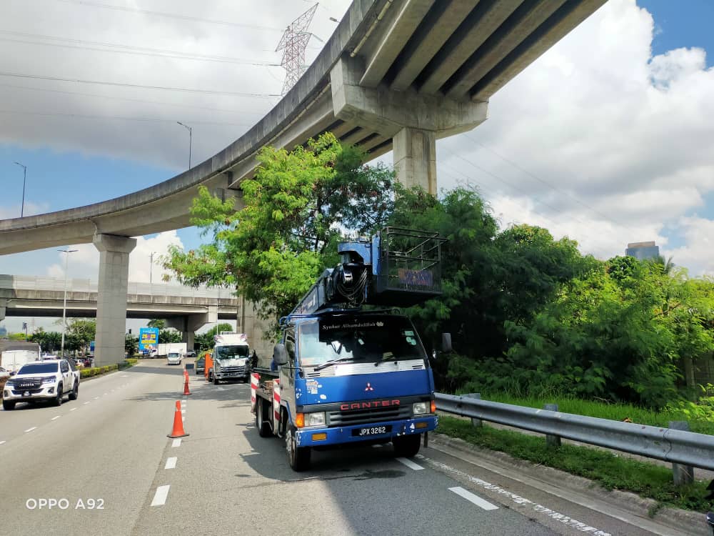 柔：民生特工队获回响，树木枝桠飞跨道路上空，已清除