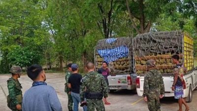 欲冒充泰国榴梿出口中国  泰警方拦截5000公斤越南榴梿