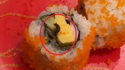 知名寿司连锁店出包 花寿司惊见蛞蝓爬出来