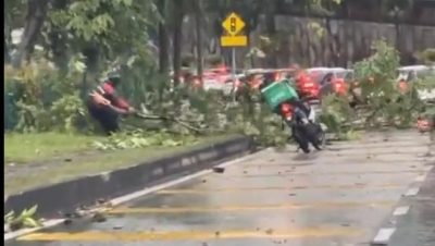 树倒阻碍交通 送餐员冒雨独自移走树木