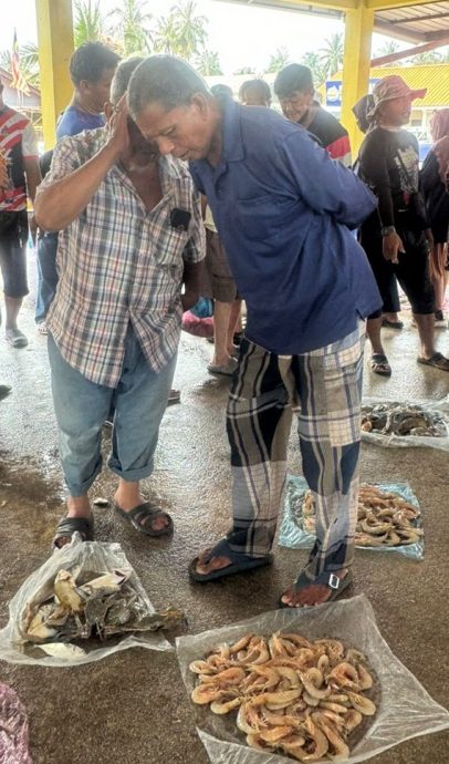 （10日发布）半岛心旅行 | 威北瓜拉姆拉渔村独特魄力 低声耳语买卖海鲜