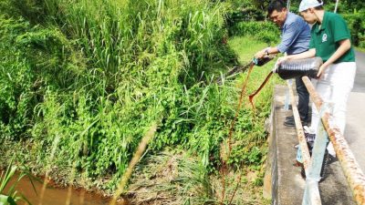 环保酵素净化河水见效    阿依沙叻河受污染渐改善