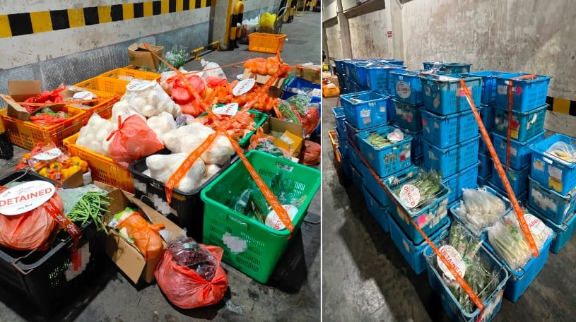 （已签发）柔：狮城二三事：非法进口1.6公吨蔬菜和加工食品，遭狮城食品局扣押