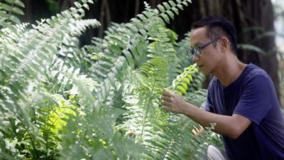 《太平湖》作者吳詠駩／探索大自然 從身邊的花草開始