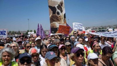土耳其提議撲殺流浪狗 數千人走上街頭抗議