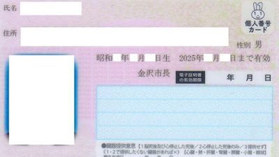 日本官员出错   2同名同生日同国籍陌生人用相同身份证
