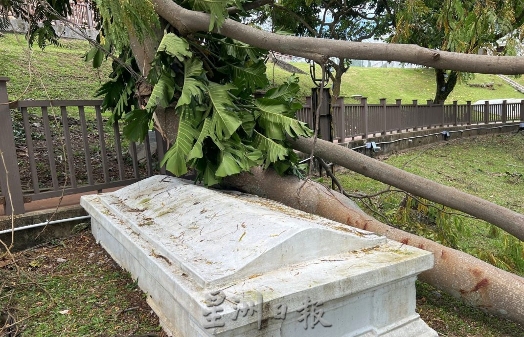 (古城封面主文)圣保罗山大树枝干断裂·压毁栏杆古墓 当局快清理